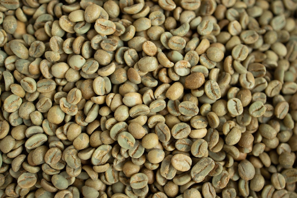Crivelli per caffè verde - Caffèlab